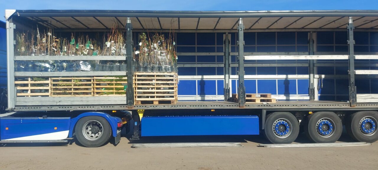 Feem transporti photo 021