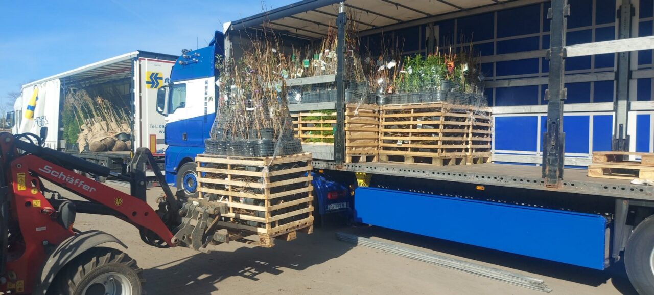 Feem transporti photo 031